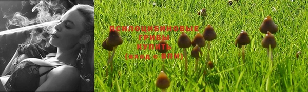 альфа пвп Кулебаки
